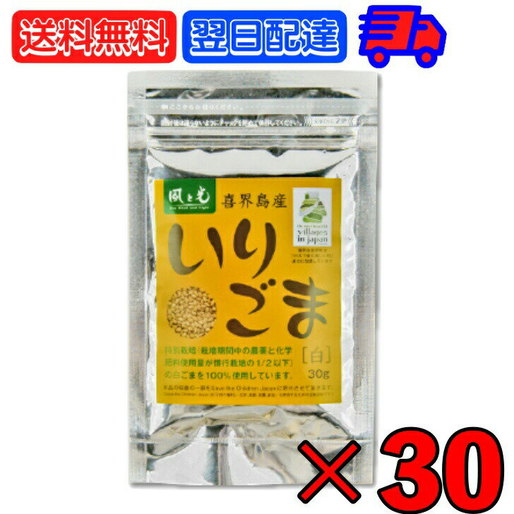 ڥޥ饽ꡪ2000OFF ȸ 礤ꤴ 30g 30 ꤴ      򥴥 򤴤  ̺ 򤴤100 ꤴ ꥴ   դ꤫ ۻ ȥåԥ ¤  Ф 縩 ̵