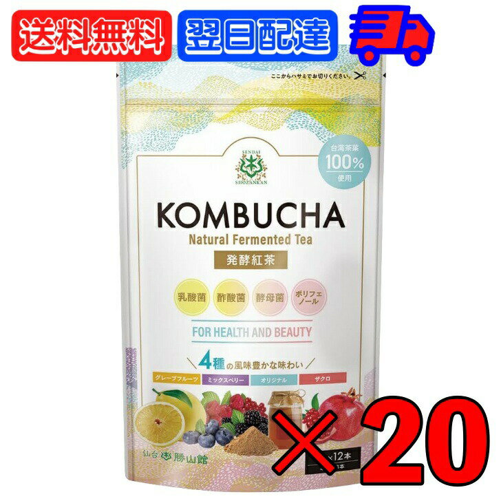 【マラソン限定！最大2000円OFF】 勝山ネクステージ 発酵紅茶KOMBUCHA アソートセット (4g×12本) ×20 勝山 アソート セット 紅茶キノコ 酵素 酵素ドリンク 腸 善玉菌 プロバイオティクス 乳酸菌 酵母 粉 個包装 持ち運び グレープフルーツ ザクロ ミックスベリー