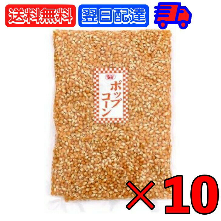 【レビュー投稿で500円OFFクーポン】 幸田商店 ポップコーン 1kg 10個 業務用 アメリカ産 GMOフリー とうもろこし 遺伝子組み換えではない 大容量...