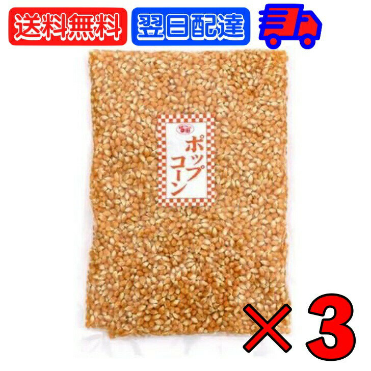【レビュー投稿で500円OFFクーポン】 幸田商店 ポップコーン 1kg 3個 業務用 アメリカ産 GMOフリー とうもろこし 遺伝子組み換えではない 大容量 ...