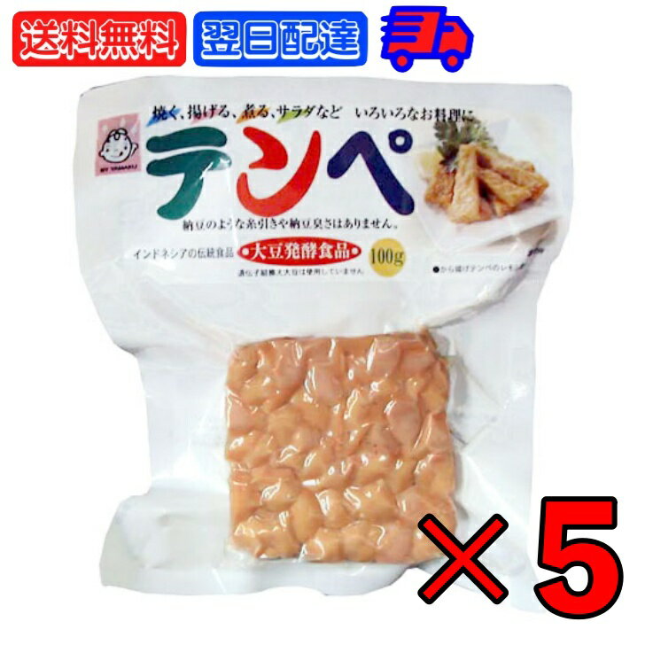 ヤマク テンペ 100g 5個 ヤマク食品 スパウトパック スパウト パック 個包装 小分け 大豆 大豆ミート エスニック 発酵食品 テンペ菌 ヴィーガン 植物性 無塩 インドネシア料理 エスクニック料理 インドネシア 料理 父の日 早割