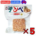 ヤマク テンペ 100g 5個 ヤマク食品 スパウトパック スパウト パック 個包装 小分け 大豆 大豆ミート エスニック 発酵食品 テンペ菌 ヴィーガン 植物性 無塩 インドネシア料理 エスクニック料理 インドネシア 料理