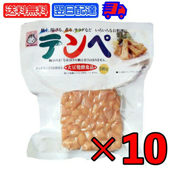 ヤマク テンペ 100g 10個 ヤマク食品 スパウトパック スパウト パック 個包装 小分け 大豆 大豆ミート エスニック 発酵食品 テンペ菌 ヴィーガン 植物性 無塩 インドネシア料理 エスクニック料理 インドネシア 料理のサムネイル