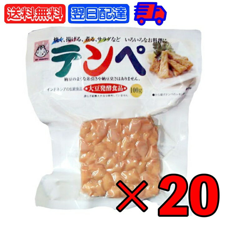 ヤマク テンペ 100g 20個 ヤマク食品 スパウトパック スパウト パック 個包装 小分け 大豆 大豆ミート エスニック 発酵食品 テンペ菌 ヴィーガン 植物性 無塩 インドネシア料理 エスクニック料理 インドネシア 料理 父の日 早割