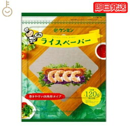 ケンミン ライスペーパー 120g 1個 四角いタイプ ケンミン食品 生春巻きの皮 健民 エスニック食材 ベトナム料理 お米の皮 グルテンフリー 米 家庭用 簡単 インスタント ノンフライ ヘルシー ヴィーガン対応