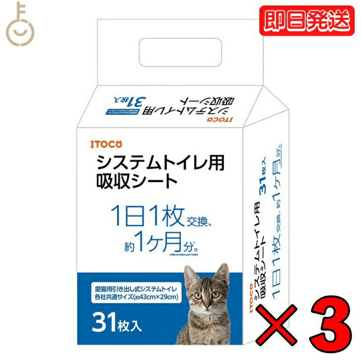 イトウアンドカンパニーリミテッド 猫の時間 システムトイレ用吸収シート 31枚入り 3個 猫の時間 トイレ用吸収シート ねこ ネコ ペットシーツ ペットシート ペット用トイレ ペット トイレ シート シーツ 吸収シート イトウカンパニー