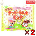 カクダイ製菓 無添加 クッピーラムネ ピュア 4g×23 2袋 カクダイ 製菓 ラムネ らむね 駄菓子 だがし クッピー ラムネ 業務用 大容量 かわいい らむね 子供会 景品 くじ引き 詰め合わせ アソート セット アレルゲン