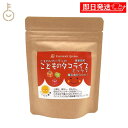 【マラソン限定!最大2000円OFF】 こもれびガーデン こどものタコライスミックス 90g 小麦粉不使用 グルテンフリー こもれび ガーデン タコライスミック...
