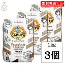 【期間限定ポイント2倍!】 カプート パスタフレスカ エ ニョッキ 1kg 3個 小麦粉 小麦 生パスタ 手打ち イタリア イタリア産 ピザ パスタ 粉末 でんぷん グルテン つや ツヤ 艶 食感 ランキング 業務用 大容量 送料無料 お中元2025