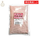 【期間限定ポイント2倍!】 味研 アンデス紅塩岩塩 業務用 粉末 1kg 1個 アンデス 紅塩 岩塩 塩 しお がんえん 天然塩 自然塩 天然 自然 調味料 食用 レッド ピンク ソルト ミネラル ランキング 業務用 大容量 送料無料 お中元2025