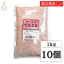 【マラソン限定!最大2000円OFF】 味研 アンデス紅塩岩塩 業務用 粉末 1kg 10個 アンデス 紅塩 岩塩 塩 しお がんえん 天然塩 自然塩 天然 自然 調味料 食用 レッド ピンク ソルト ミネラル ランキング 業務用 大容量 送料無料 お中元2025