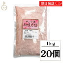 【マラソン限定!最大2000円OFF】 味研 アンデス紅塩岩塩 業務用 粉末 1kg 20個 アンデス 紅塩 岩塩 塩 しお がんえん 天然塩 自然塩 天然 自然 調味料 食用 レッド ピンク ソルト ミネラル ランキング 業務用 大容量 送料無料 お中元2025