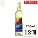 【マラソン限定!最大2000円OFF】 ワイン 白ワイン マウイワイン マウイスプラッシュ 750ml 12個 マウイ スプラッシュ 白 酒 アルコール 洋酒 ...