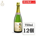 【keyroomの日!最大2000円OFF】 ワイン スパークリング マウイワイン フラオマウイ スパークリングワイン 750ml 12個 シャンパン 酒 アルコール 果実酒 パイナップル パイナップル果汁 辛口 お酒 ハワイ ハワイアン瓶 ギフト プレゼント ランキング 業務用 大容量