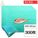 【マラソン限定!最大2000円OFF】 グリーンパーチ 300枚 508×381mm キッチンペーパー ペーパータオル コンパクト 浜田紙業 魚を包む緑の紙 魚...