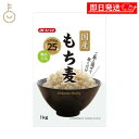 【keyroomの日!最大2000円OFF】 みたけ 国産もち麦 1kg 1個 もち麦 もちむぎ 大麦 食物繊維 混ぜる 炊く もち麦ごはん ご飯 ごはん 米 穀物 ぷちぷち もちもち 国産 ランキング 業務用 大容量 送料無料 ハロウィン2025