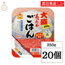 【マラソン限定!最大2000円OFF】 東洋水産 マルちゃん あったかごはん大盛 250g 20個 パックごはん レトルトご飯 ごはん パック レトルト 備蓄 ...
