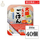 【マラソン限定!最大2000円OFF】 東洋水産 マルちゃん あったかごはん大盛 250g 40個 パックごはん レトルトご飯 ごはん パック レトルト 備蓄 ...
