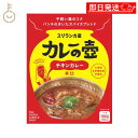 【マラソン限定!最大2000円OFF】 第三世界ショップ カレーの壺レトルトカレー チキンカレー 辛口 180g 1個 保存料 着色料 香料 化学調味料 小麦粉 無添加 不使用 グルテンフリー カレー レトルトカレー スパイス スパイスカレー ココナッツミルク風味(4)