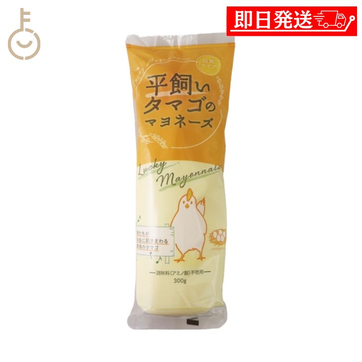 【ブラックフライデー限定!最大2000円OFF】 丸和油脂 平飼いタマゴのマヨネーズ 300g 1本 マヨネーズ 調味料 平飼いタマゴ 卵黄 卵黄タイプ 保存料...