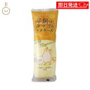 【最大400円OFF!くらしにプラス】 丸和油脂 平飼いタマゴのマヨネーズ 300g 1本 マヨネーズ 調味料 平飼いタマゴ 卵黄 卵黄タイプ 保存料 着色料 香料 化学調味料 無添加 不使用 料理 サラダ ランキング 業務用 大容量 送料無料 父の日2025