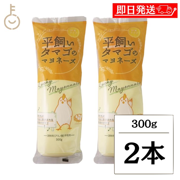 【ブラックフライデー限定!最大2000円OFF】 丸和油脂 平飼いタマゴのマヨネーズ 300g 2本 マヨネーズ 調味料 平飼いタマゴ 卵黄 卵黄タイプ 保存料...