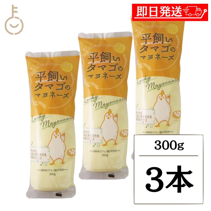 【ブラックフライデー限定!最大2000円OFF】 丸和油脂 平飼いタマゴのマヨネーズ 300g 3本 マヨネーズ 調味料 平飼いタマゴ 卵黄 卵黄タイプ 保存料...