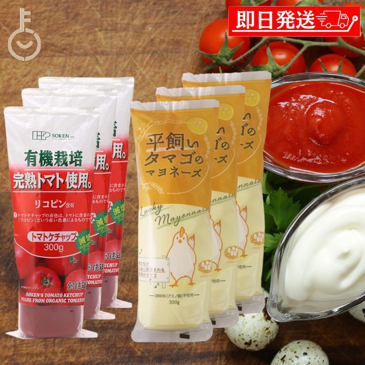 【ブラックフライデー限定!最大2000円OFF】 創健社 有機ケチャップ 300g 丸和油脂 平飼いタマゴのマヨネーズ 300g 2種アソート 各3個 グルメギ...