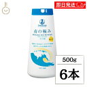 【レビュー投稿で500円OFFクーポン】 南の極み 天日塩 500g 6本 調味料 塩 しお 天日結晶 天日塩 天日 海水 固結防止剤不使用 不使用 さらさら ...