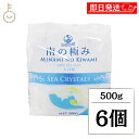 【マラソン限定!最大2000円OFF】 南の極み シークリスタル 大粒 500g 6個 調味料 塩 しお 天日結晶 天日塩 海水 食品 料理 パスタ 塩漬 保存食 バスソルト オーストラリア ランキング 業務用 大容量 送料無料