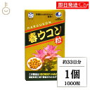 【18日限定!最大300円OFF】 沖縄長生薬草本社 春ウコン 1000粒 1個 約33日分 ウコン粒 健康食品 健康サプリ うこん 春ウコン うこん ウコンサプリ ウコンサプリメント 濃縮エキス サプリ ウコン 粒 タブレット 肝臓 お酒 飲み会 ランキング まとめ買い 大容量