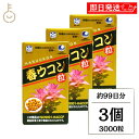 【18日限定!最大300円OFF】 沖縄長生薬草本社 春ウコン 1000粒 3個 約99日分 ウコン粒 健康食品 健康サプリ うこん 春ウコン うこん ウコンサプリ ウコンサプリメント 濃縮エキス サプリ ウコン 粒 タブレット 肝臓 お酒 飲み会 ランキング まとめ買い 大容量