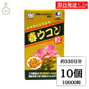 【18日限定!最大300円OFF】 沖縄長生薬草本社 春ウコン 1000粒 10個 約330日分 ウコン粒 健康食品 健康サプリ うこん 春ウコン うこん ウコンサプリ ウコンサプリメント 濃縮エキス サプリ ウコン 粒 タブレット 肝臓 お酒 飲み会 ランキング まとめ買い 大容量