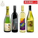 【keyroomの日!最大2000円OFF】 ハワイワイン セット マウイワイン マウイスプラッシュ ブランパイナップル メレ フラオマウイ スパークリング 750ml 各1 計4本 ワイン ワインセット 赤ワイン 白ワイン スパークリングワイン ギフト 組み合わせ ランキング