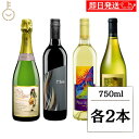 【マラソン限定!最大2000円OFF】 ハワイワイン セット マウイワイン マウイスプラッシュ ブランパイナップル メレ フラオマウイ スパークリング 750ml 各2 計8本 ワイン ワインセット 赤ワイン 白ワイン スパークリングワイン ギフト 組み合わせ ランキング