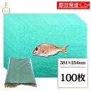 【レビュー投稿で500円OFFクーポン】 グリーンパーチ紙 100枚 8切 381mm×254mm 1個 キッチンペーパー ペーパータオル コンパクト 浜田紙業...