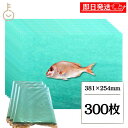 【レビュー投稿で500円OFFクーポン】 グリーンパーチ紙 100枚 8切 381mm×254mm 3個 キッチンペーパー ペーパータオル コンパクト 浜田紙業...