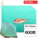 【レビュー投稿で500円OFFクーポン】 グリーンパーチ紙 100枚 8切 381mm×254mm 6個 キッチンペーパー ペーパータオル コンパクト 浜田紙業...