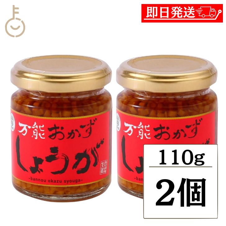 【レビュー投稿で500円OFFクーポン】 四国健商 万能おかずしょうが 瓶 110g 2個 万能おかず生姜 四国健商 おかずしょうが 万能調味料 四國建商 食べ...