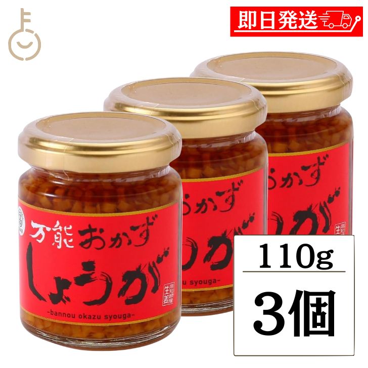 【レビュー投稿で500円OFFクーポン】 四国健商 万能おかずしょうが 瓶 110g 3個 万能おかず生姜 四国健商 おかずしょうが 万能調味料 四國建商 食べ...