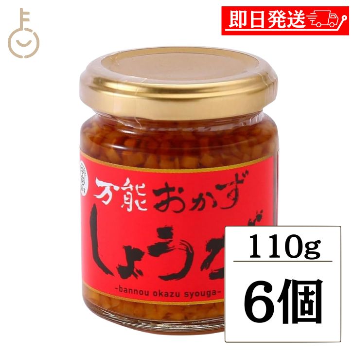 【レビュー投稿で500円OFFクーポン】 四国健商 万能おかずしょうが 瓶 110g 6個 万能おかず生姜 四国健商 おかずしょうが 万能調味料 四國建商 食べ...