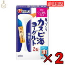 フジッコ カスピ海ヨーグルト 種菌 （3g × 2包） 2個 手作り 粉 粉末 たね菌 種 粉末 種菌 ヨーグルト種菌 カスピ海ヨーグルト ヨーグルト 乳製品 送料無料