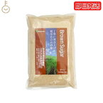 【500円OFFクーポン配布中】 大東製糖 ブラウンシュガー 600g 大東 brown sugar brownsugar ブラウン 砂糖 さとう サトウキビ さとうきび 製菓 製パン 細かい粉状 細かい 粉状 くどさのない やわらかな甘味 甘味 調味料 黒砂糖 黒