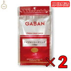 【500円OFFクーポン配布中】 GABAN ギャバン スパイス ケイジャンシーズニング 100g 2個 ミックススパイス ハウス食品 香辛料 パウダー 業務用 大容量 ハーブ ケイジャン シーズニング カレースパイス ケイジャン料理 ケイジャンスパイス