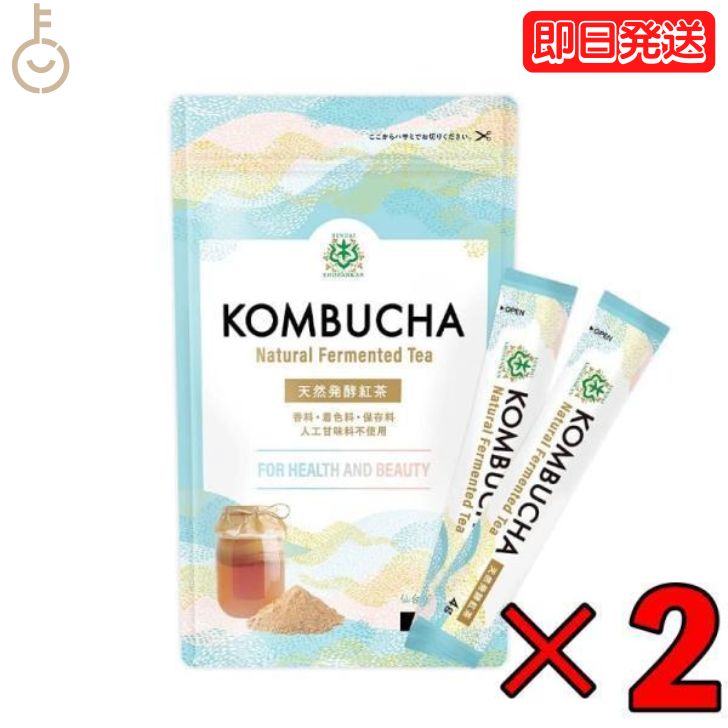 コンブチャ 無添加粉末 スティック 2個 (4g×12包) 天然発酵紅茶 仙台勝山館 無添加 粉末 紅茶 小分け 紅茶キノコ 酵素 酵素ドリンク 腸 善玉菌 プロバイオティクス 乳酸菌 酵母 粉 パウダー 個包装 持ち運び kombucha 父の日 早割