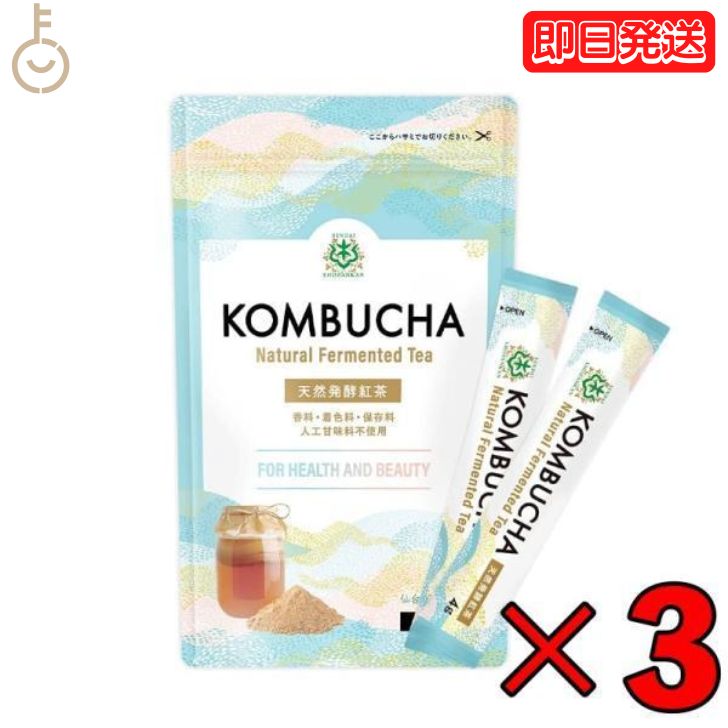 【マラソン限定！最大2000円OFF】 コンブチャ 無添加粉末 スティック 3個 (4g×12包) 天然発酵紅茶 仙台勝山館 無添加 粉末 紅茶 小分け 紅茶キノコ 酵素 酵素ドリンク 腸 善玉菌 プロバイオティクス 乳酸菌 酵母 粉 パウダー 個包装 持ち運び kombucha