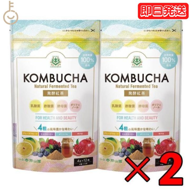 勝山ネクステージ 発酵紅茶KOMBUCHA アソートセット (4g×12本) ×2 勝山 アソート セット 紅茶キノコ 酵素 酵素ドリンク 腸 善玉菌 プロバイオティクス 乳酸菌 酵母 粉 個包装 持ち運び グレープフルーツ ザクロ ミックスベリー 父の日 早割