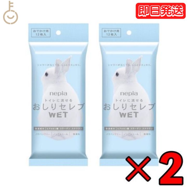 ڥӥ塼Ƥ500OFFݥ ͥԥ ꥻ Ǥ WET ݥåȥ Ф ̵ 12 2 ȥ...