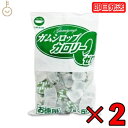 【ブラックフライデー限定!最大2000円OFF】 日新製糖 ガムシロップ カロリーゼロ CZ-50 7g 2個 シロップ ダイエット ダイエット中 スクラロース...