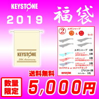 【2019福袋】(2)キーストンキーストン(keystone)エギシャープ(egisharp)V0+、V1セット